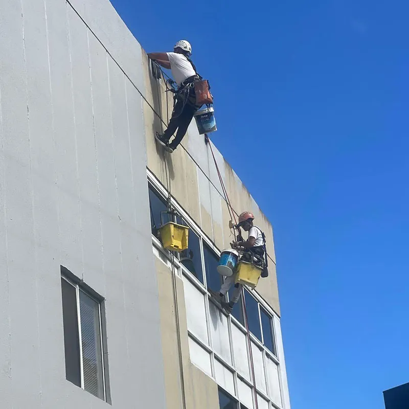 house painting companies sydney