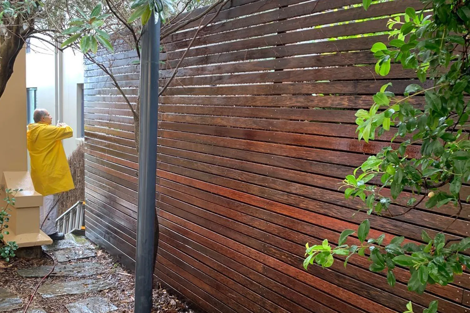 GP BALGOWLAH HEADER