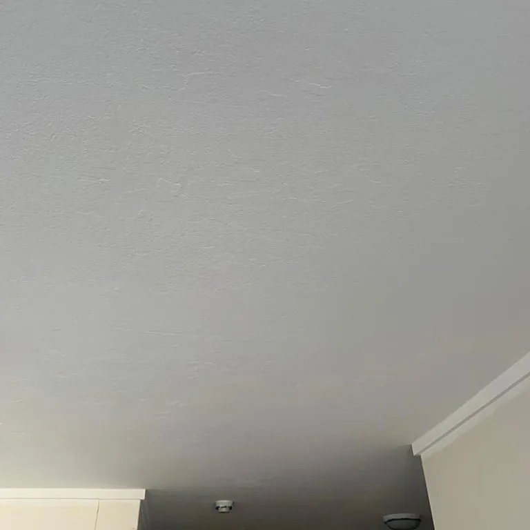 house painting companies sydney